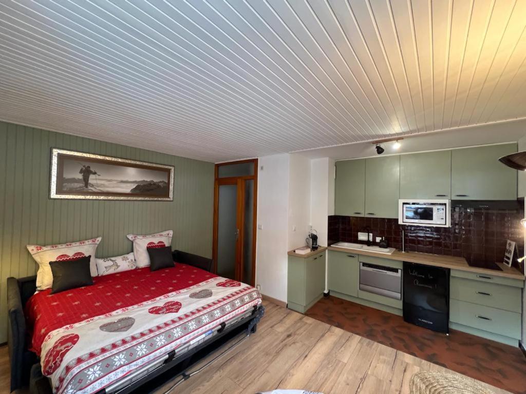 Studio Dent Du Caiman, Chamonix Hyper Centre, Parking, Vue Mont Blanc Ngoại thất bức ảnh
