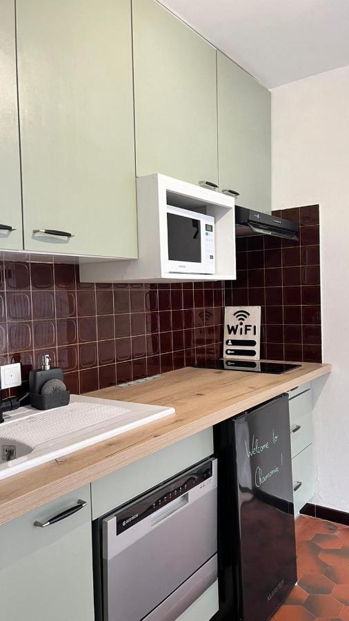 Studio Dent Du Caiman, Chamonix Hyper Centre, Parking, Vue Mont Blanc Ngoại thất bức ảnh